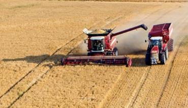 В Могилевском районе намолотили более 100 тысяч тонн зерновых культур 